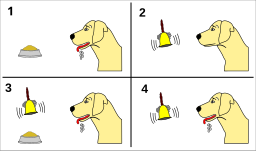 Condizionamenti, manipolazione e libertà personale 7 Schema illustrativo del condizionamento classico di Pavlov con cane e campanella