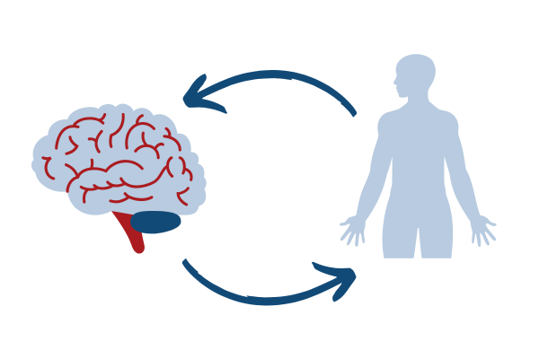Crescita personale e benessere psicofisico 5 Diagramma della connessione mente-corpo: frecce circolari collegano il cervello alla sagoma umana, simboleggiando l'influenza reciproca tra pensieri e salute fisica.