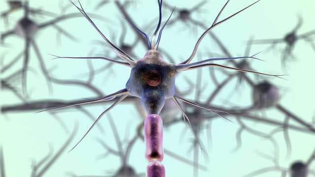 Dipendenze e comportamenti disfunzionali 3 Rappresentazione di sinapsi e neurotrasmettitori, il sistema di comunicazione chimica del cervello