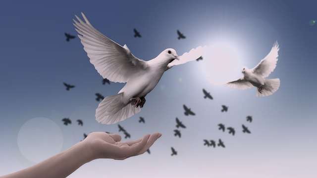 C'è spiritualità e spiritualità... 1 la foto rappresenta la spiritualità e la libertà