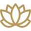 lotus (1) lotus 1 e1783080955112